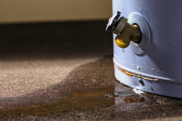 Best Flood damage cleanup  in Halfway, MD