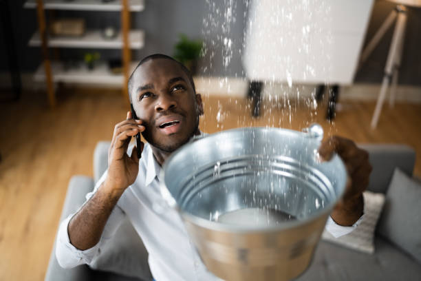 Best Water damage restoration near me  in Halfway, MD