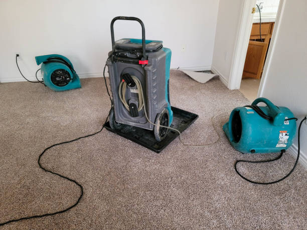 Best Flood restoration services  in Halfway, MD
