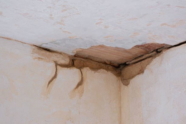 Water damage restoration mold remediation in Halfway, MD