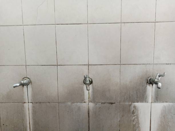 Best Local water damage restoration  in Halfway, MD