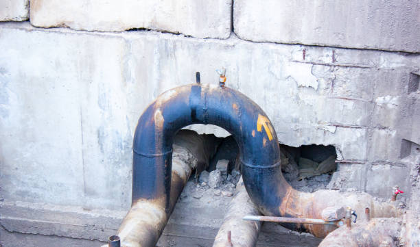 Best Sewage cleanup and water damage restoration  in Halfway, MD