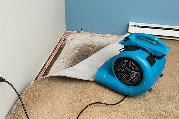 Local water damage restoration in Halfway, MD